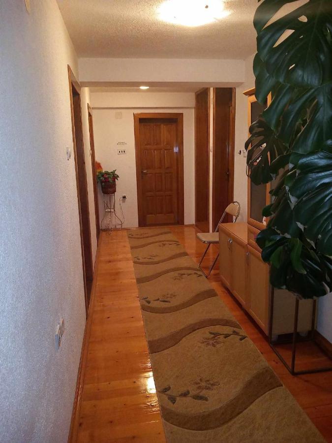 Apartment Little Village Plav Exterior foto